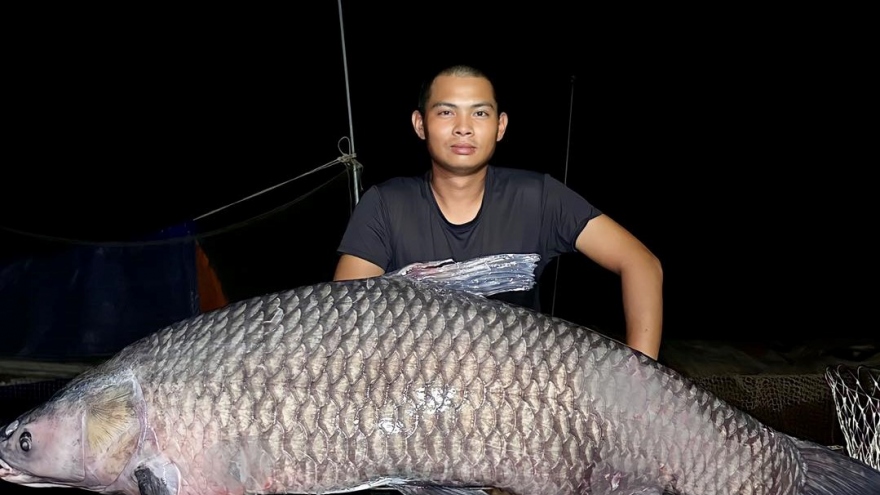 Cần thủ ở Nghệ An chinh phục “thủy quái” nặng hơn 40kg ở đập thủy lợi